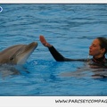 Marineland - Dauphins - Spectacle 17h15 - 1278