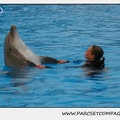Marineland - Dauphins - Spectacle 17h15 - 1279