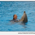Marineland - Dauphins - Spectacle 17h15 - 1280