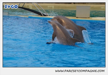 Marineland - Dauphins - Spectacle 17h15 - 1281