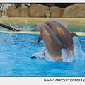 Marineland - Dauphins - Spectacle 17h15 - 1283
