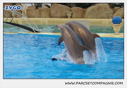 Marineland - Dauphins - Spectacle 17h15 - 1283