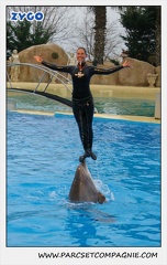 Marineland - Dauphins - Spectacle 17h15 - 1285