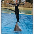 Marineland - Dauphins - Spectacle 17h15 - 1285