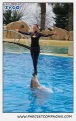 Marineland - Dauphins - Spectacle 17h15 - 1286
