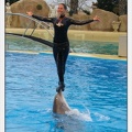 Marineland - Dauphins - Spectacle 17h15 - 1286