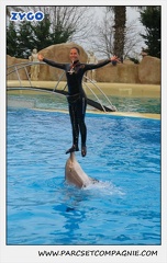 Marineland - Dauphins - Spectacle 17h15 - 1287