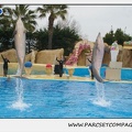 Marineland - Dauphins - Spectacle 17h15 - 1288