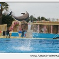 Marineland - Dauphins - Spectacle 17h15 - 1289
