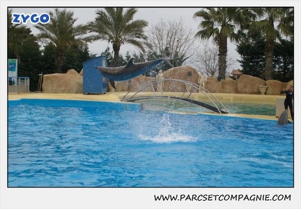 Marineland - Dauphins - Spectacle 17h15 - 1290