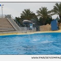Marineland - Dauphins - Spectacle 17h15 - 1291