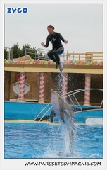 Marineland - Dauphins - Spectacle 17h15 - 1292
