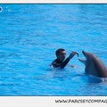 Marineland - Dauphins - Spectacle 14h30 - 1834