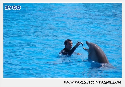Marineland - Dauphins - Spectacle 14h30 - 1834