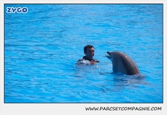 Marineland - Dauphins - Spectacle 14h30 - 1835
