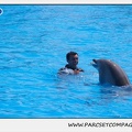 Marineland - Dauphins - Spectacle 14h30 - 1835