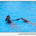 Marineland - Dauphins - Spectacle 14h30 - 1836