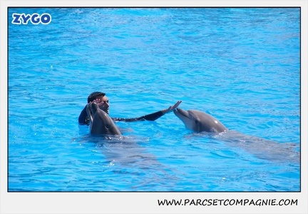 Marineland - Dauphins - Spectacle 14h30 - 1836