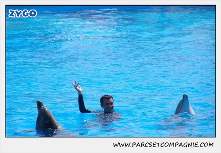 Marineland - Dauphins - Spectacle 14h30 - 1837