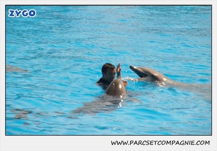Marineland - Dauphins - Spectacle 14h30 - 1839