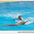 Marineland - Dauphins - Spectacle 14h30 - 1842