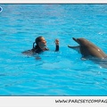 Marineland - Dauphins - Spectacle 14h30 - 1843