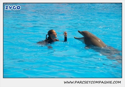 Marineland - Dauphins - Spectacle 14h30 - 1843