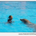 Marineland - Dauphins - Spectacle 14h30 - 1844