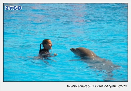 Marineland - Dauphins - Spectacle 14h30 - 1844