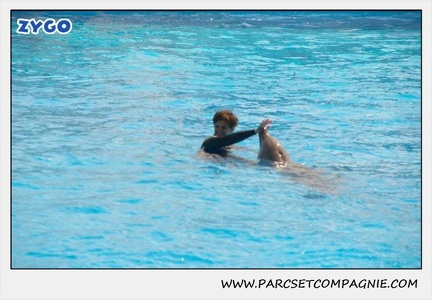 Marineland - Dauphins - Spectacle 14h30 - 1845