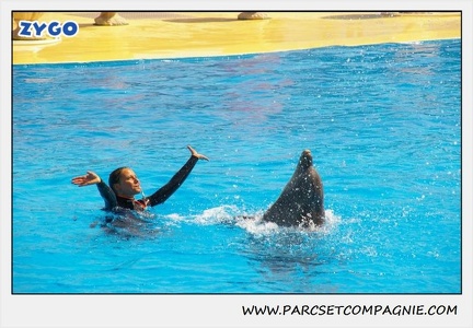 Marineland - Dauphins - Spectacle 14h30 - 1846