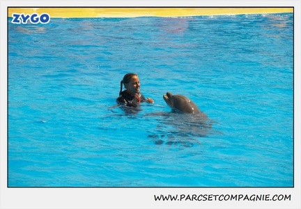 Marineland - Dauphins - Spectacle 14h30 - 1847