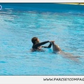 Marineland - Dauphins - Spectacle 14h30 - 1848