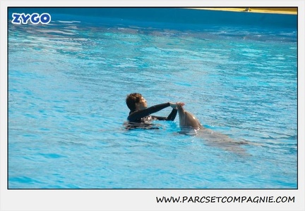 Marineland - Dauphins - Spectacle 14h30 - 1848