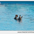 Marineland - Dauphins - Spectacle 14h30 - 1849