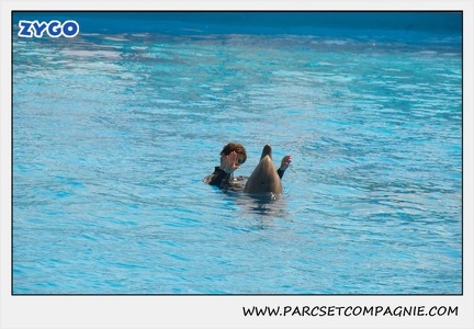 Marineland - Dauphins - Spectacle 14h30 - 1849