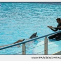 Marineland - Dauphins - Spectacle 14h30 - 1850