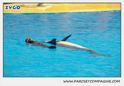 Marineland - Dauphins - Spectacle 14h30 - 1851