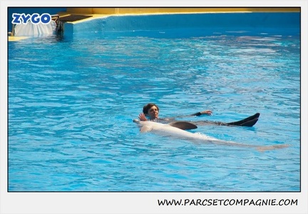 Marineland - Dauphins - Spectacle 14h30 - 1852