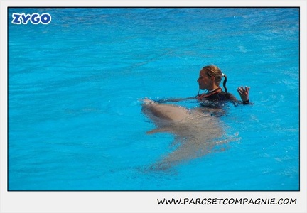 Marineland - Dauphins - Spectacle 14h30 - 1853