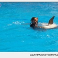 Marineland - Dauphins - Spectacle 14h30 - 1854