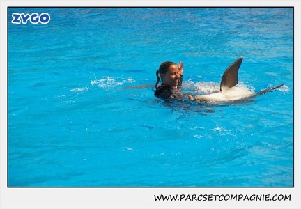 Marineland - Dauphins - Spectacle 14h30 - 1854