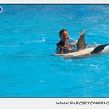 Marineland - Dauphins - Spectacle 14h30 - 1855