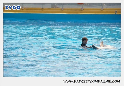 Marineland - Dauphins - Spectacle 14h30 - 1857