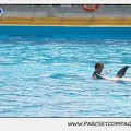 Marineland - Dauphins - Spectacle 14h30 - 1858