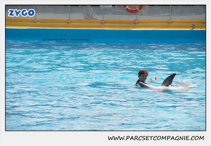 Marineland - Dauphins - Spectacle 14h30 - 1858