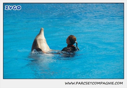 Marineland - Dauphins - Spectacle 14h30 - 1859