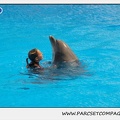 Marineland - Dauphins - Spectacle 14h30 - 1860