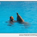 Marineland - Dauphins - Spectacle 14h30 - 1861
