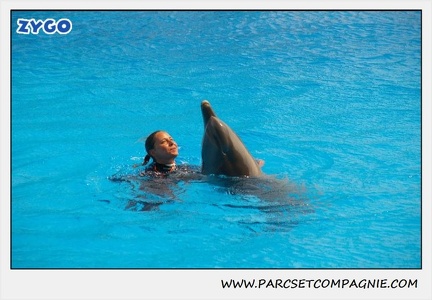 Marineland - Dauphins - Spectacle 14h30 - 1861